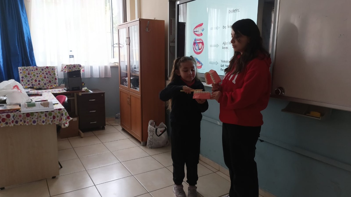 İşitme Taraması ve Diş Eğitimi